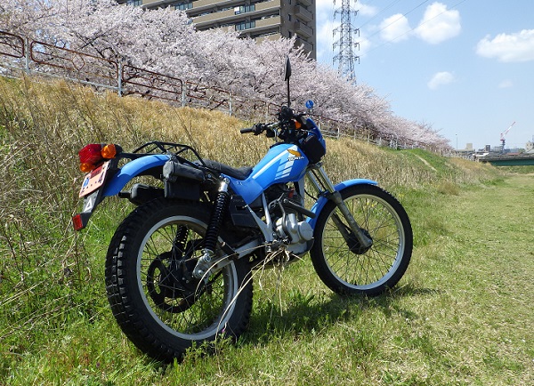 TL125 jd06 桜を背景に