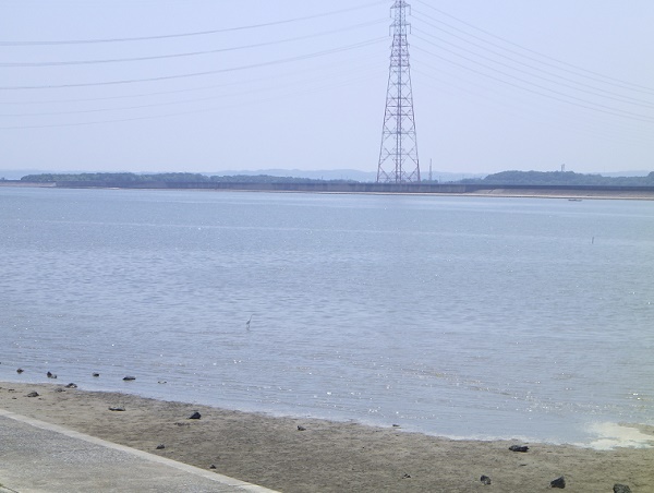 矢作川河口