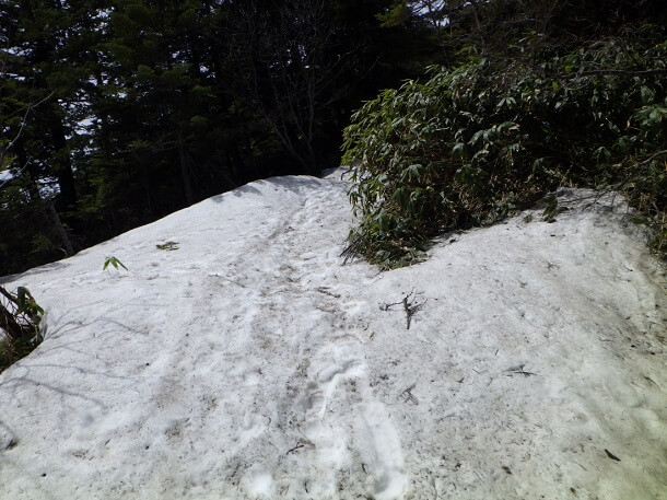雪で覆われた登山道